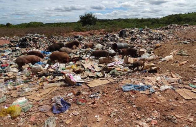 Denunciadas três prefeituras que mantêm lixões a céu aberto no interior do Piauí